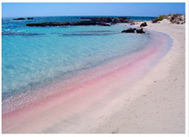 Elafonisi_Beach_Pink_Sand